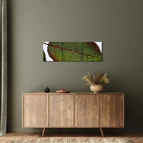Tablou - Frunze de trandafir (cu ceas) (90x30 cm)