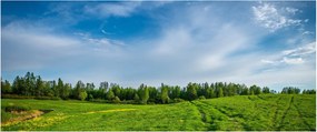 Tablou cu luncă (120x50 cm)