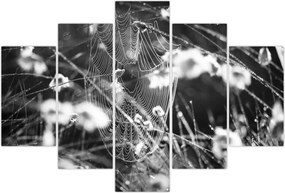 Tablou - Pânza de păianjen în pajiște (150x105 cm)