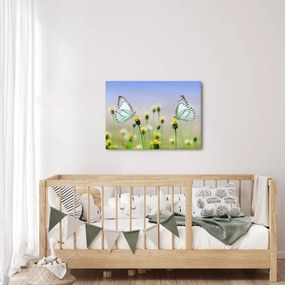 Tablou cu fluture pe floare (70x50 cm)