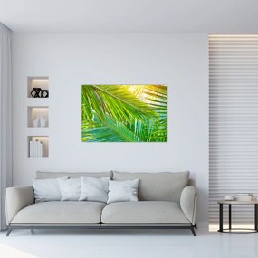 Tablou - Frunze de palmier (90x60 cm)