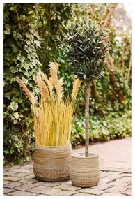 Coșuri de depozitare 2 buc. din ratan ø 39x35 cm Moro – House Nordic