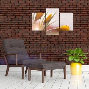 Tablou - Flori de primăvară (90x60 cm)