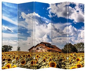 Paravan - Câmp de floarea soarelui (210x170 cm)