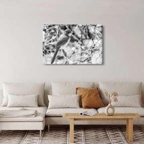 Tablou - Bluebird în timpul iernii (90x60 cm)