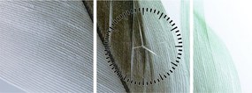 Tablou - Pene, macro (cu ceas) (90x30 cm)