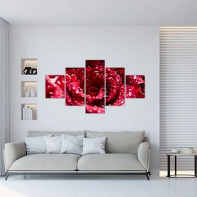 Tablou cu floarea trandafirului roșu (125x70 cm), în 40 de alte dimensiuni noi