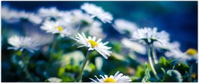 Tablou - Margarete (120x50 cm)