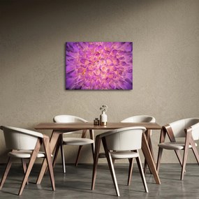 Tablou detailat cu floare (70x50 cm)