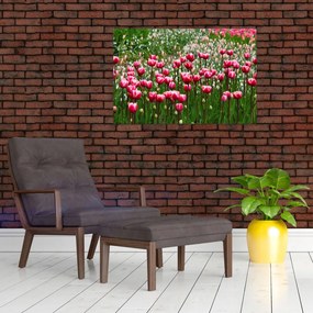 Tablou - Lalele (90x60 cm)