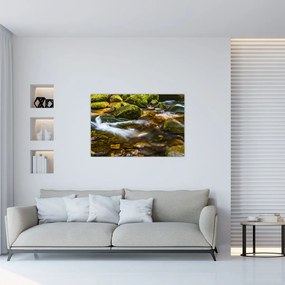 Tablou cu părâu (90x60 cm)