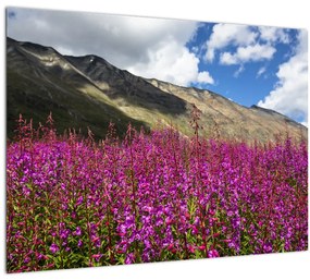 Tablou sceneriei cu lunca montană (70x50 cm)
