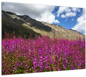 Tablou sceneriei cu lunca montană (70x50 cm)