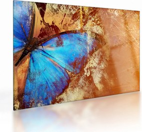 Tablou pe sticlă - Fluture albastru (70x50 cm)