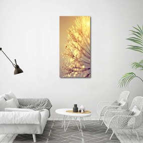 Print pe canvas Semințe de papadie
