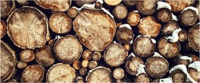 Tablou - Lemn în zăpadă (120x50 cm)
