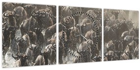 Tablou - Turmă de antilope sălbatice (cu ceas) (90x30 cm)