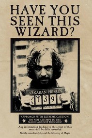 Poster de artă Harry Potter - Wanted Sirius Black