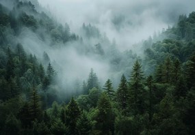 Fototapet - Pădure în Ceață II (147x102 cm)