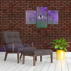 Tablou - fluture în lavandă (90x60 cm)