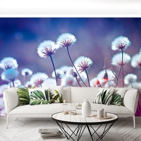 Fototapet Flori Meadow