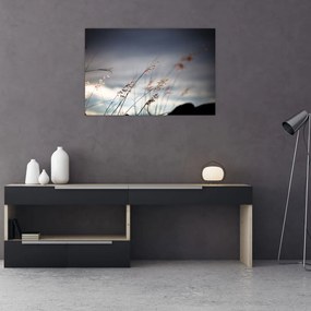 Tablou -Flori de luncă (90x60 cm)