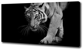 Tablou canvas Tigru