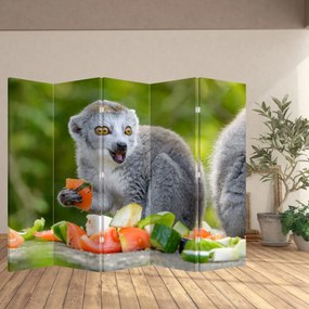 Paravan - Lemur (210x170 cm)