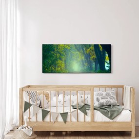 Tablou cu drum dea lungul cu copaci (120x50 cm)