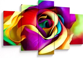 Tablou - Trandafir colorat (150x105 cm)
