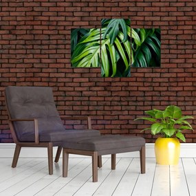 Tablou - Frunze tropicale (90x60 cm)