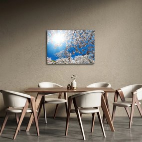 Tablou - Flori de cireș (70x50 cm)