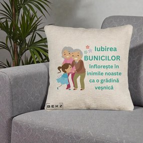 Cadou pentru Bunici - Perna Personalizata Bunicii Iubirea Infloreste cu Nepoata Teal, 40x40 cm, Bej Canapea, Husa Detasabila, Perna Inclusa, BEKZ®