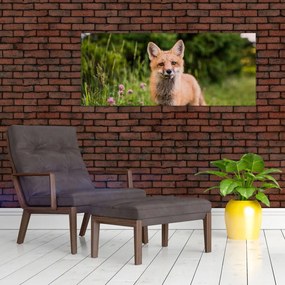 Tablou cu vulpe (120x50 cm)