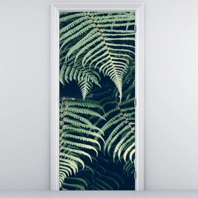 Fototapet pentru ușă - Frunze de ferigă (95x205cm)