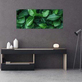 Tablou - Frunze verzi (120x50 cm)