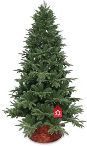 Brad Caucazian 100 % 180 cm