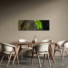 Tablou cu papagal pe greangă (cu ceas) (90x30 cm)