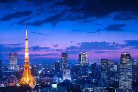 Fotografie Tokyo night view, Takao Kataoka