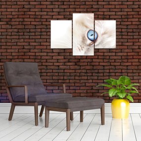 Tablou - Pisicuță (90x60 cm)