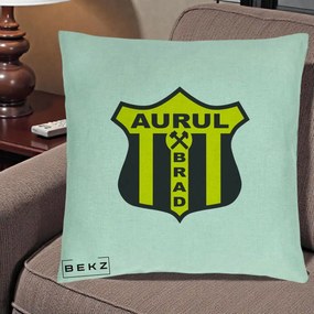 Perna Personalizata Aurul Brad Fotbal, 40x40 cm, Verde Menta, Husa Detasabila, Perna Inclusa, BEKZ®