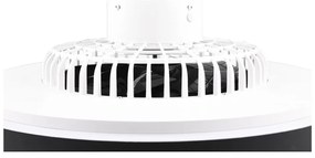 Plafonieră negru-mat LED Halmstad – Trio