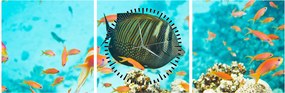 Tablou lumii submarine (cu ceas) (90x30 cm)