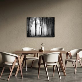 Tablou - Lup în pădurea întunecată (70x50 cm)