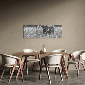 Tablou - Vacă scoțiană 5,alb-negru (cu ceas) (90x30 cm)