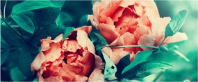 Tablou - Flori de primăvară (120x50 cm)