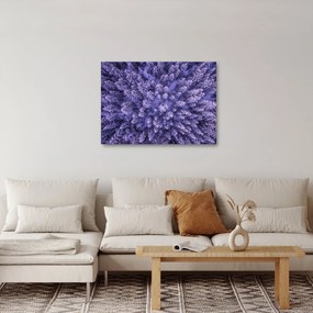 Tablou cu copacii înzăpeziți (70x50 cm)