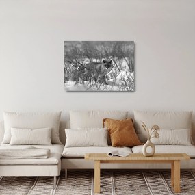 Tablou pe sticlă - Vulpe în timpul iernii (70x50 cm)