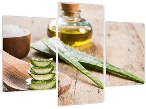 Tablou - Aloe vera (90x60 cm)