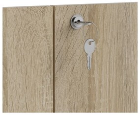 Componentă - ușă cu aspect de lemn de stejar 84x105 cm Prima – Tvilum